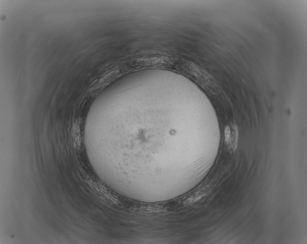 X0000083661203200703051743