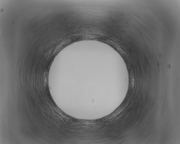 X0000083661204200703051743