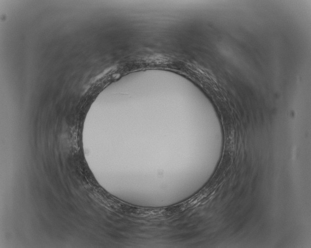 X0000083661205200703051743