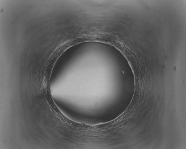 X0000083661206200703051743