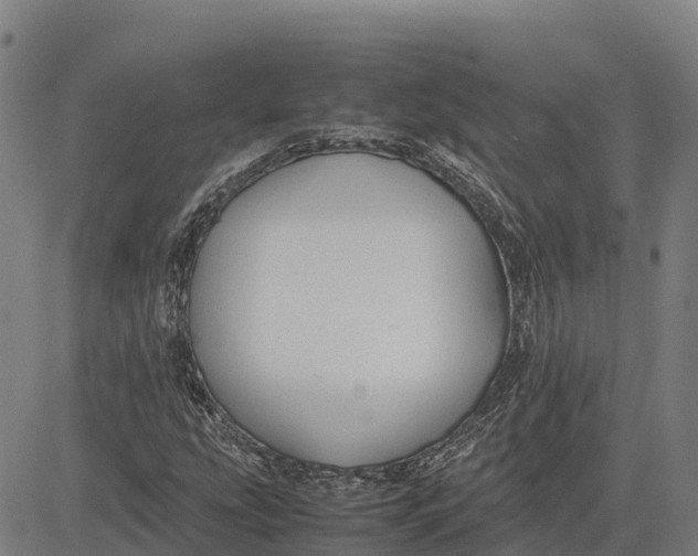 X0000083661207200703051743