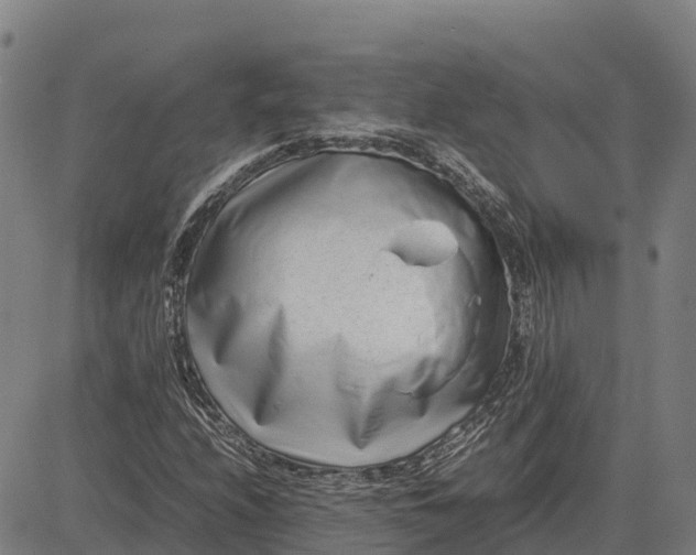 X0000083661208200703051743