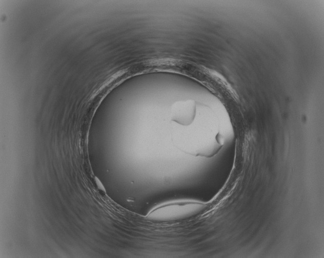 X0000083661209200703051743