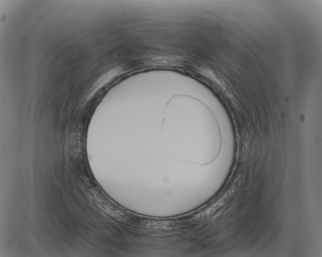 X0000083661211200703051743