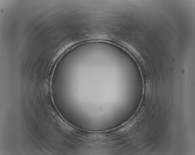 X0000083661212200703051743