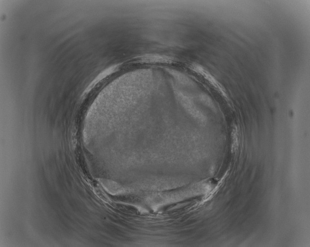 X0000083661213200703051743