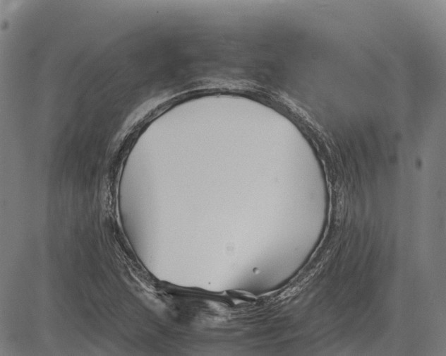 X0000083661215200703051743