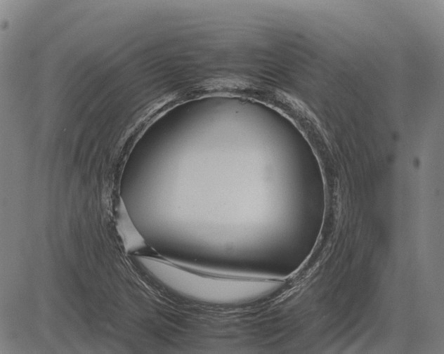 X0000083661217200703051743