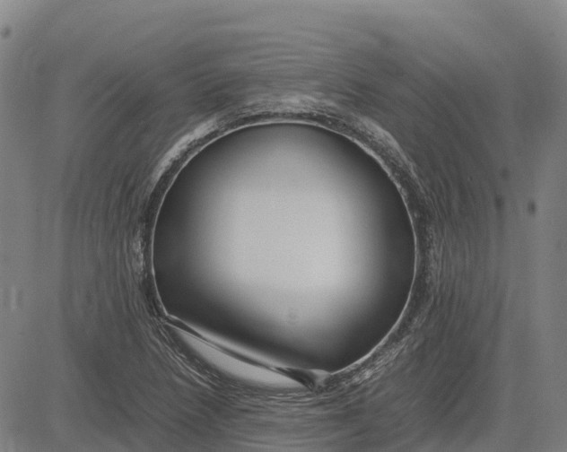 X0000083661218200703051743