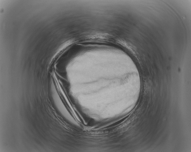 X0000083661219200703051743