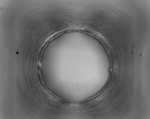 X0000083661220200703051743