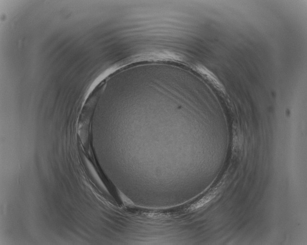 X0000083661226200703051743