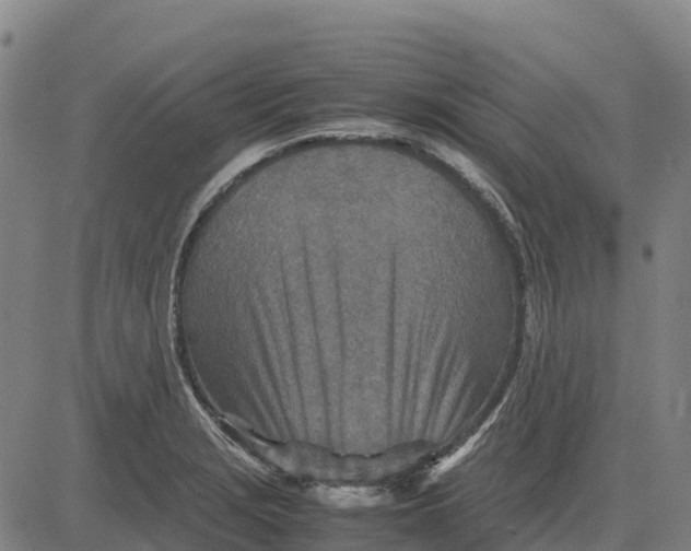 X0000083661229200703051743