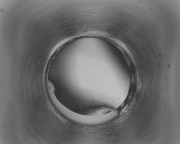 X0000083661230200703051743