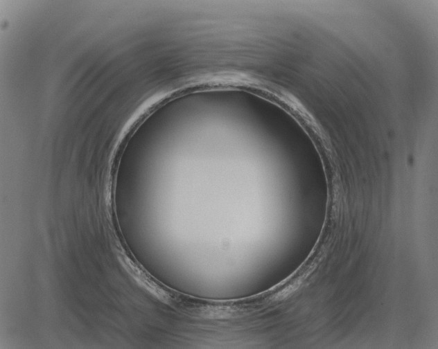 X0000083661232200703051743