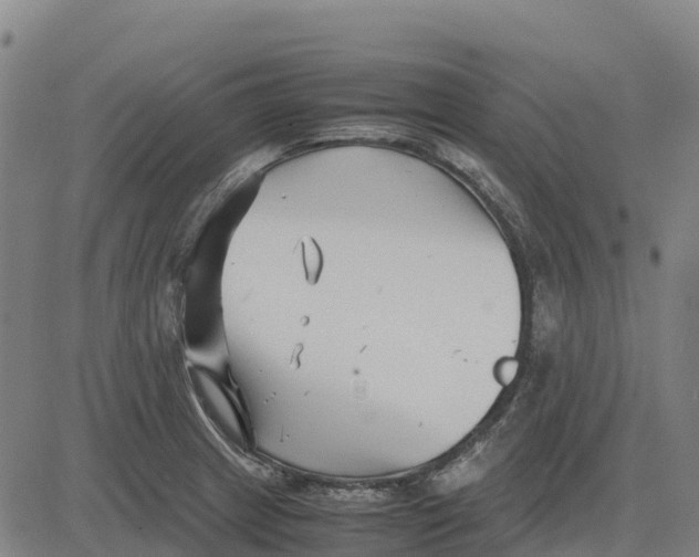 X0000083661233200703051743