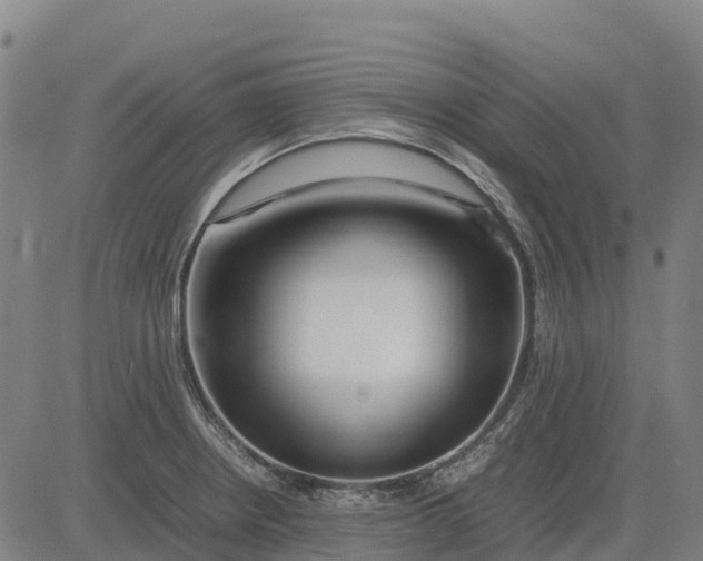 X0000083661234200703051743