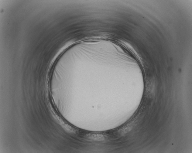 X0000083661235200703051743