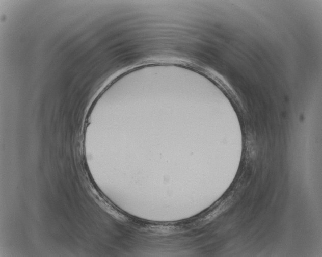 X0000083661236200703051743