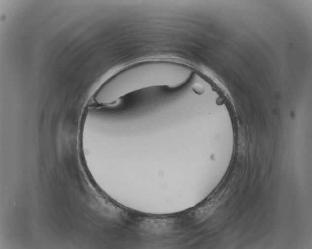 X0000083661237200703051743