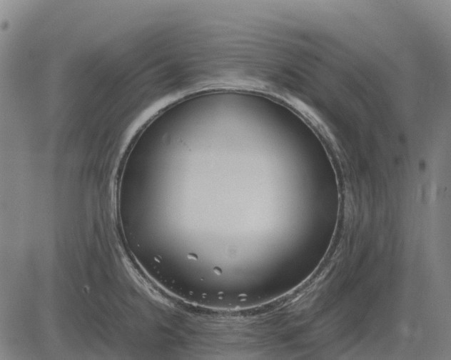 X0000083661238200703051743