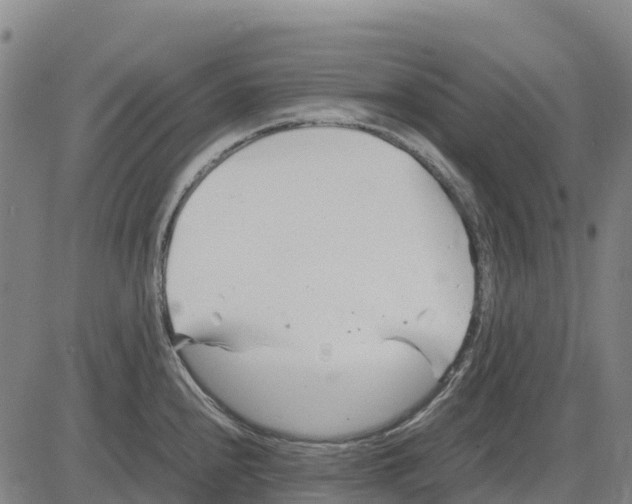 X0000083661240200703051744