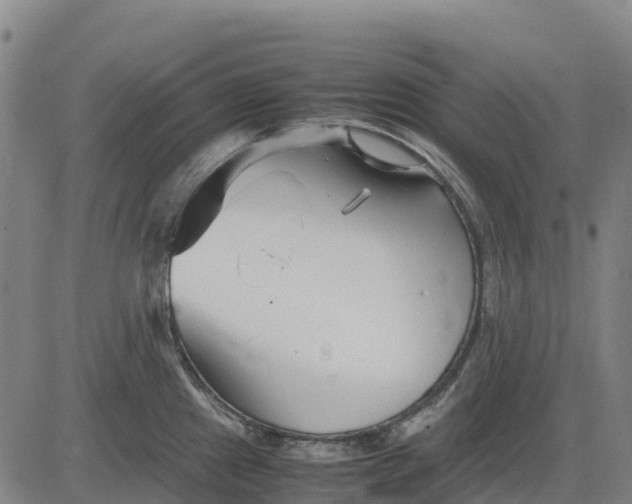 X0000083661241200703051744