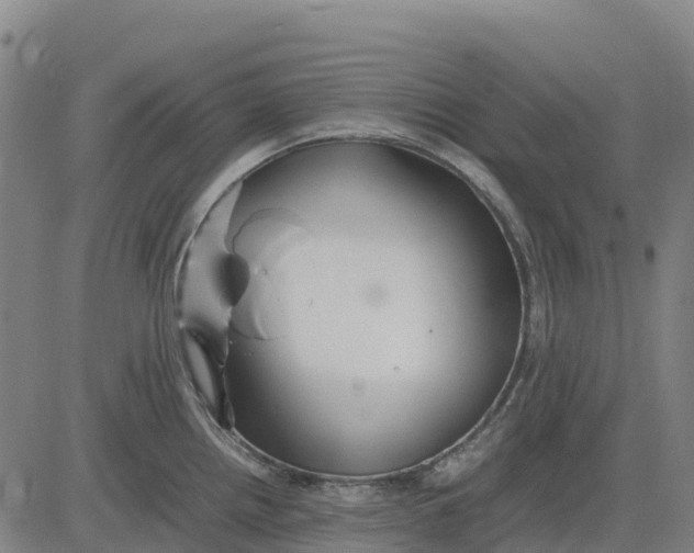 X0000083661242200703051744