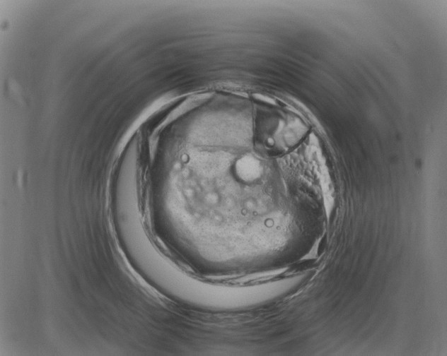 X0000083661243200703051744