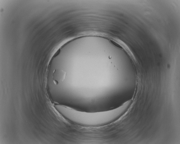 X0000083661244200703051744