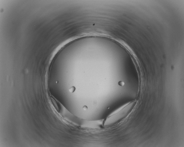 X0000083661246200703051744