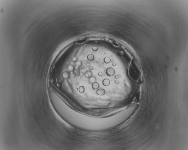 X0000083661247200703051744