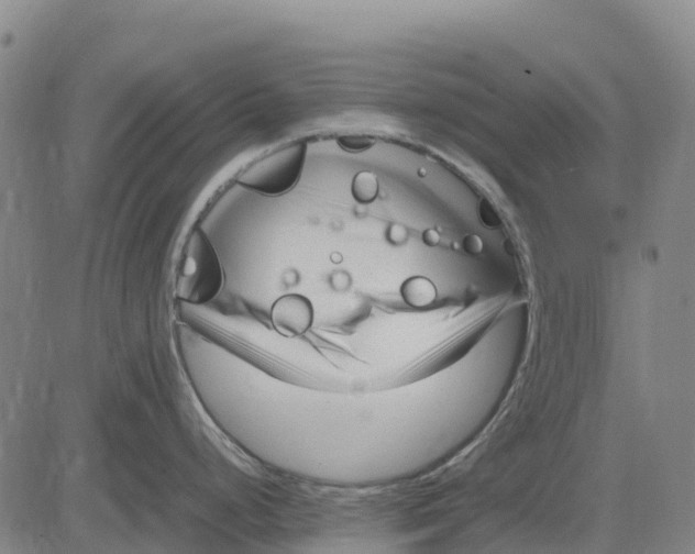 X0000083661248200703051744