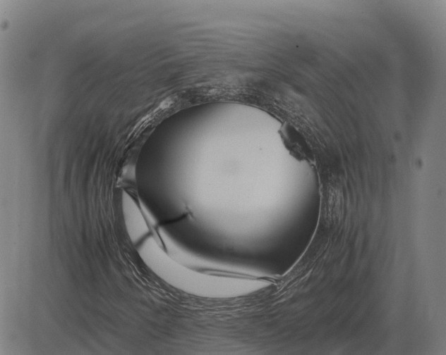 X0000083661250200703051743