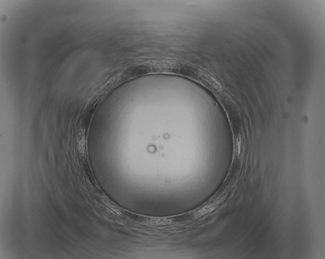 X0000083661251200703051743