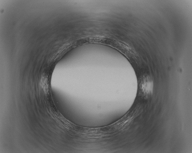 X0000083661252200703051743