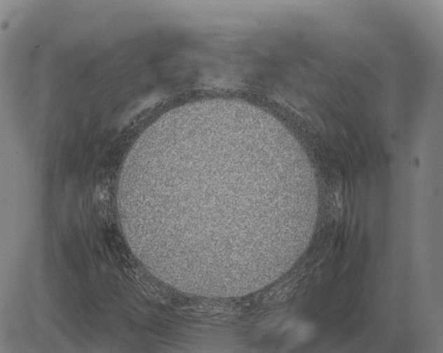 X0000083661254200703051743