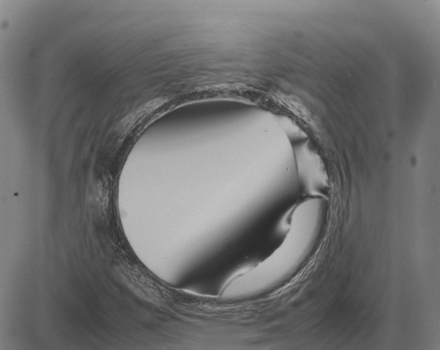 X0000083661257200703051743