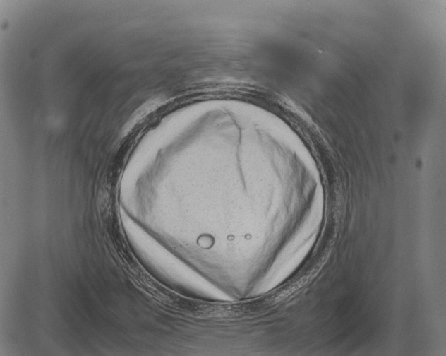 X0000083661259200703051743