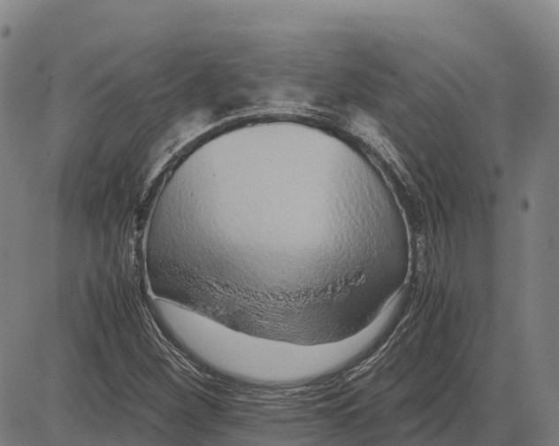 X0000083661260200703051743