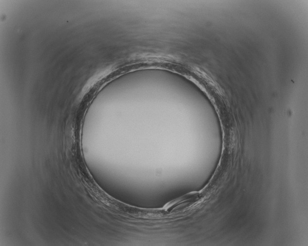 X0000083661261200703051743