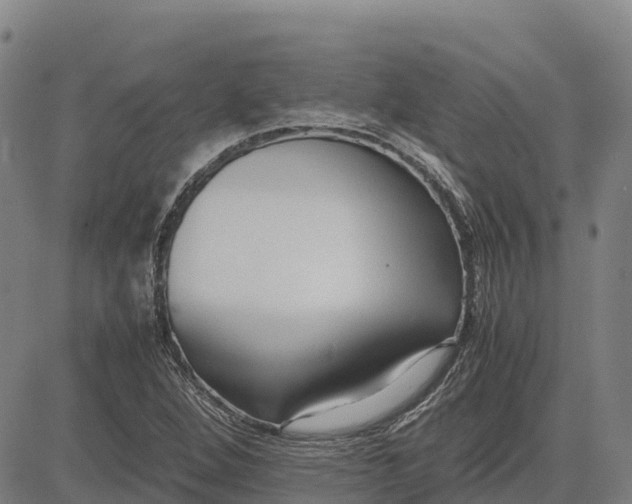 X0000083661264200703051743