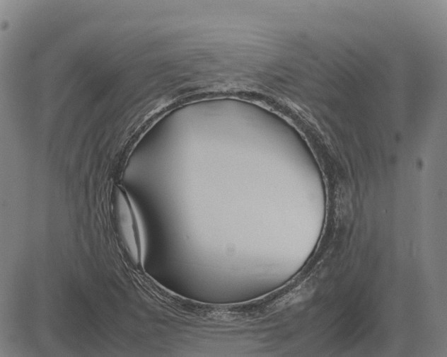 X0000083661265200703051743