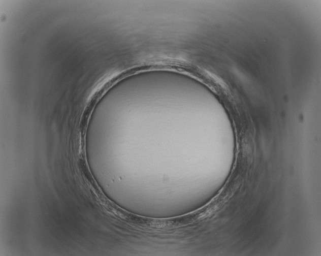 X0000083661267200703051743