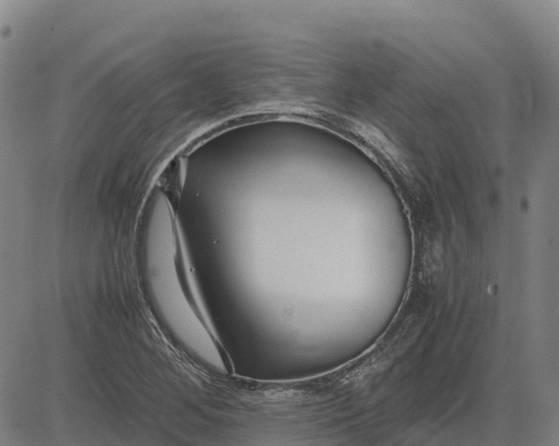 X0000083661268200703051743