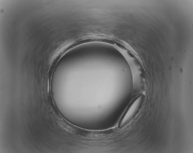 X0000083661269200703051743