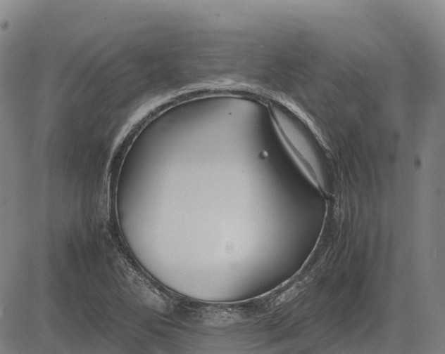 X0000083661270200703051742