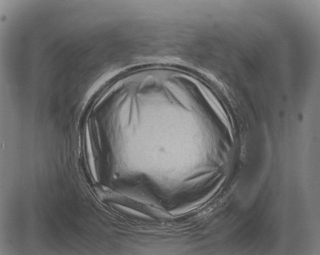 X0000083661271200703051742