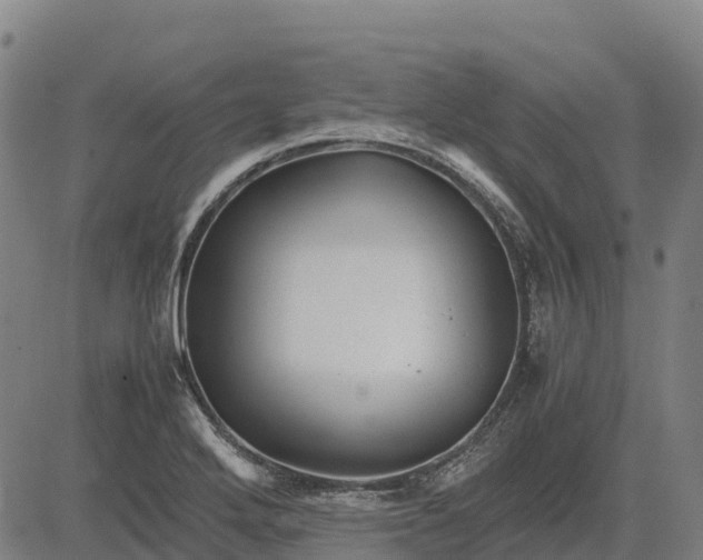 X0000083661272200703051742