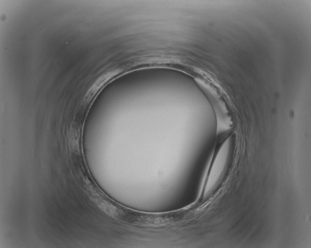 X0000083661273200703051742